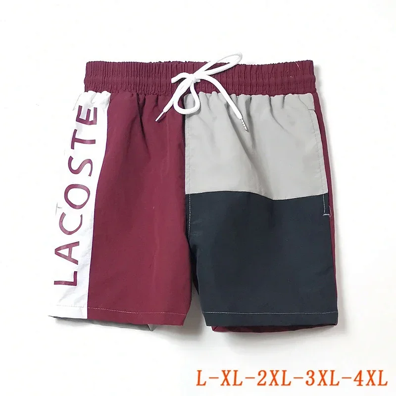 Lacoste Lacoste L07 Gray Shorts Grey - 1