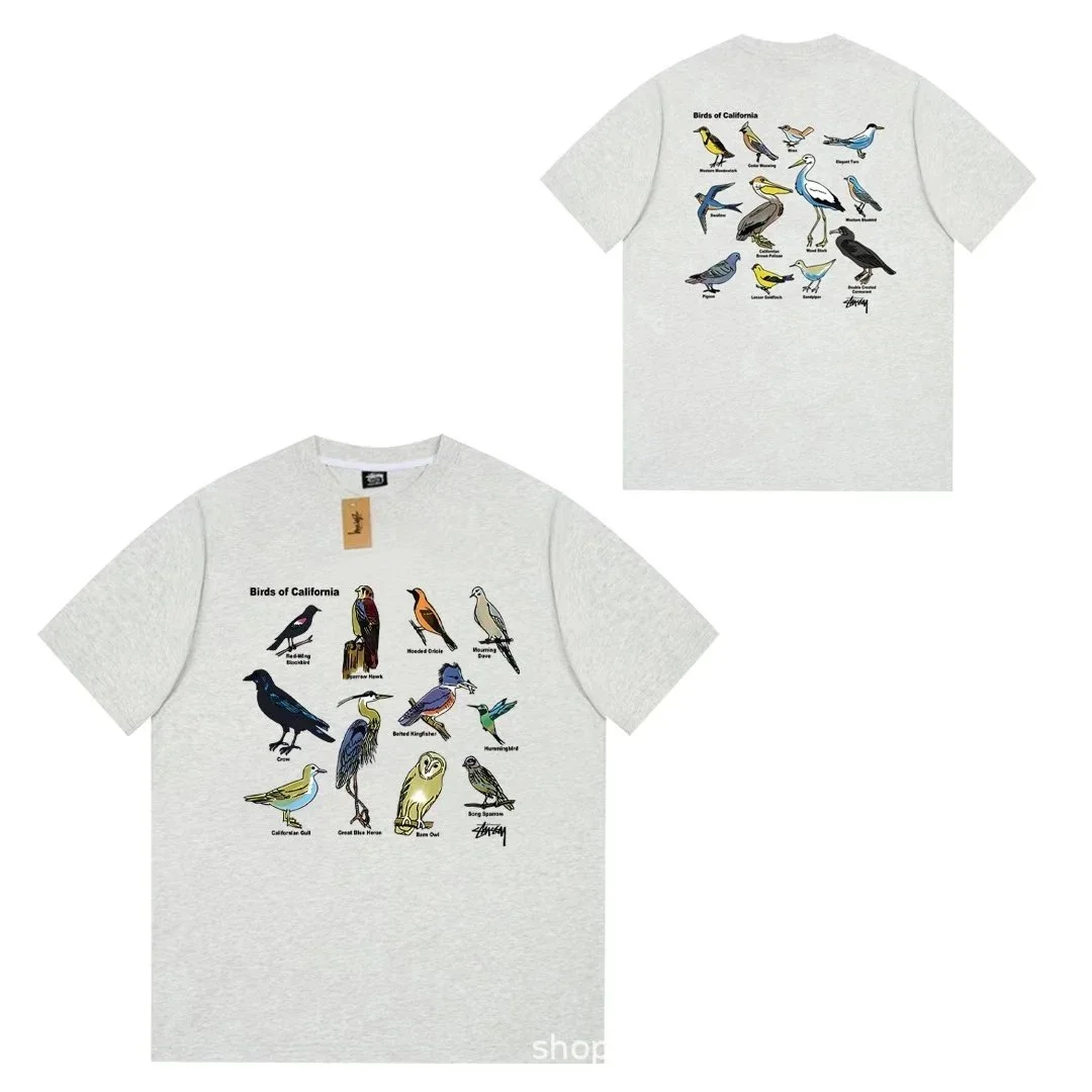 Stussy Stussy Birds of California Graphic T-Shirt Grey - 1