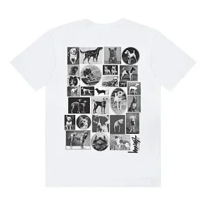 Supreme White Graphic Print T-Shirt White - 1