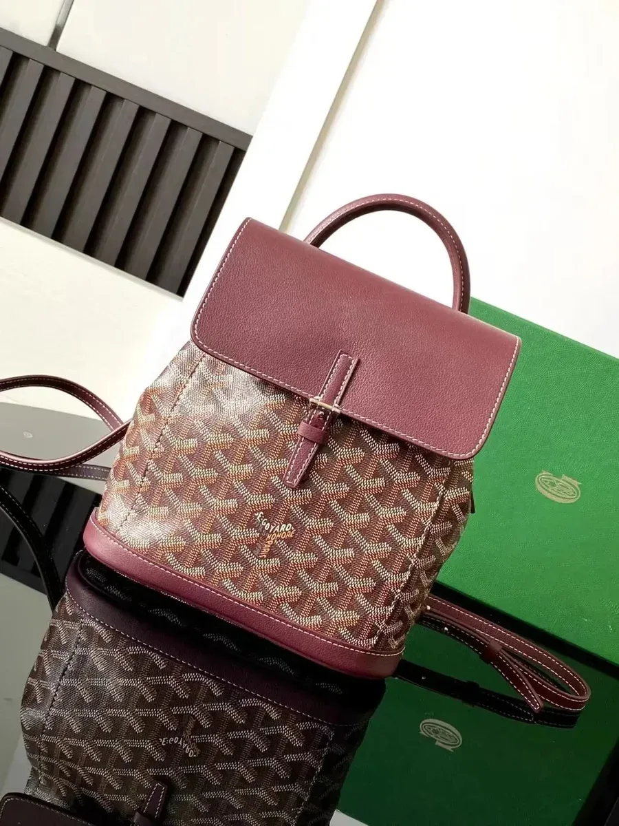 Goyard Goyard Saint Louis Backpack in Brown & Burgundy Brown - 1