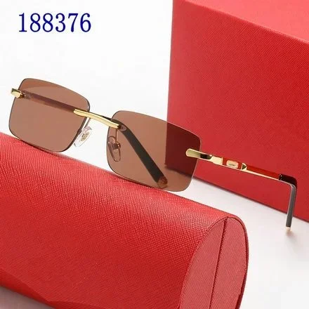 Cartier Cartier Soleil Blanc Polarized Sunglasses Brown Gold Frame Gold - 1