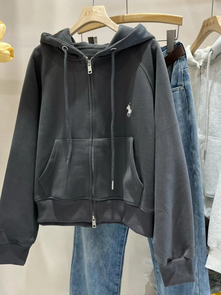 Polo Ralph Lauren Polo Ralph Lauren Big Pony Zip-Up Hoodie Dark Grey Grey - 1
