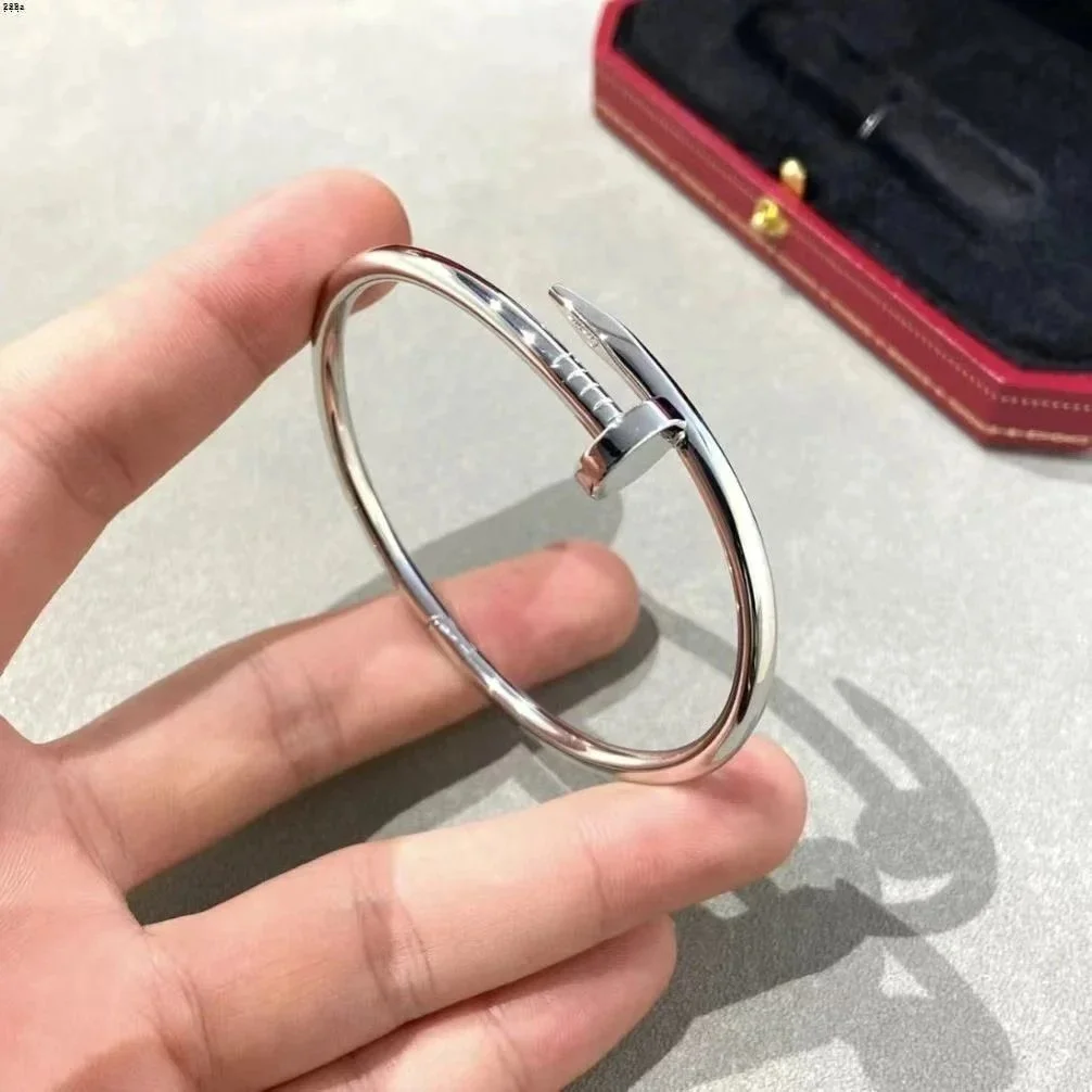 Cartier Cartier Love Bracelet Silver Jewelry Silver - 1