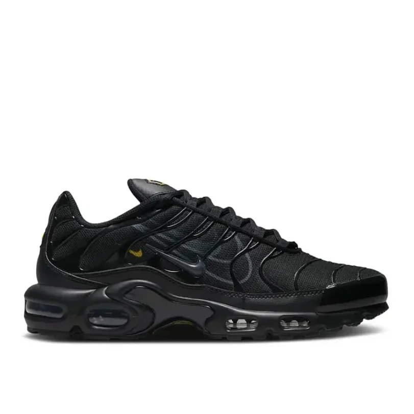 Nike Nike Air Max Plus Triple Black Sneakers Black