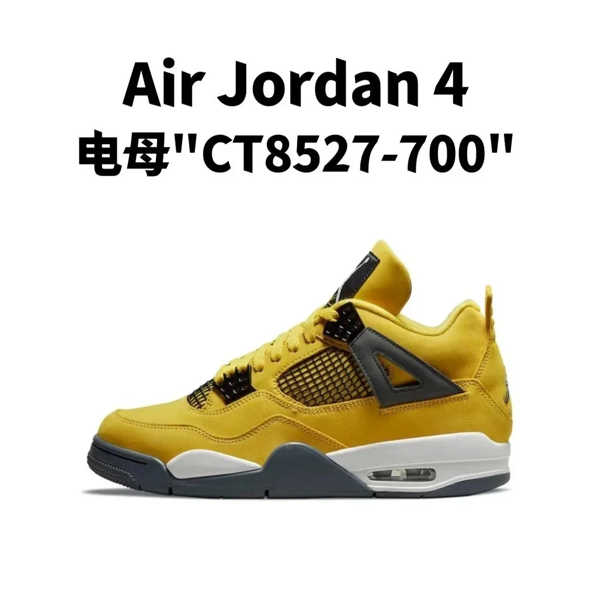 Nike Air Jordan 4电母CT8527-700 Sneakers