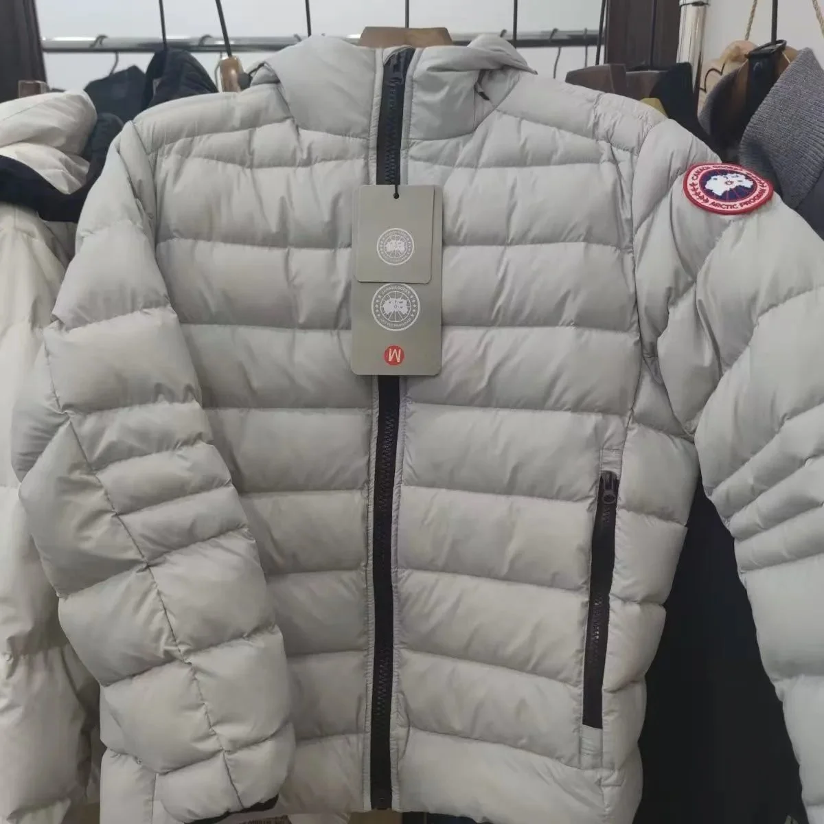 Canada Goose Chilliwack Light Grey Parka