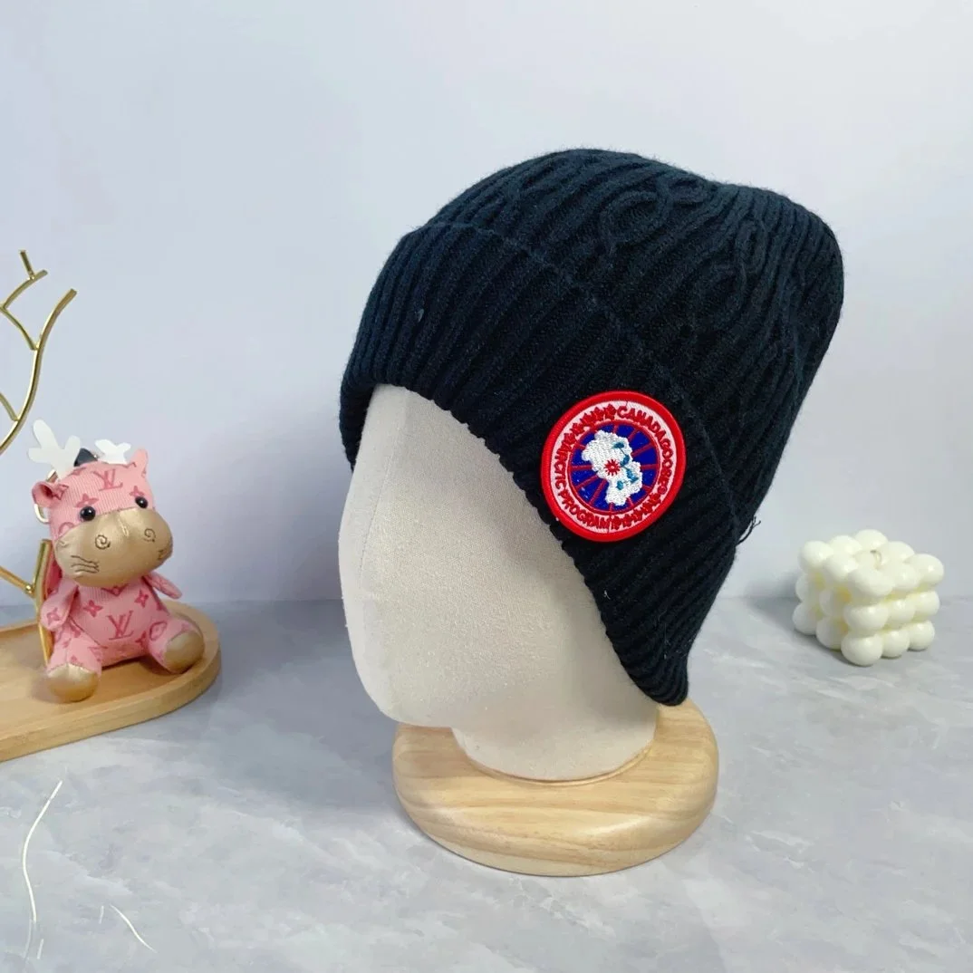 Canada Goose Arctic Program Black Beanie