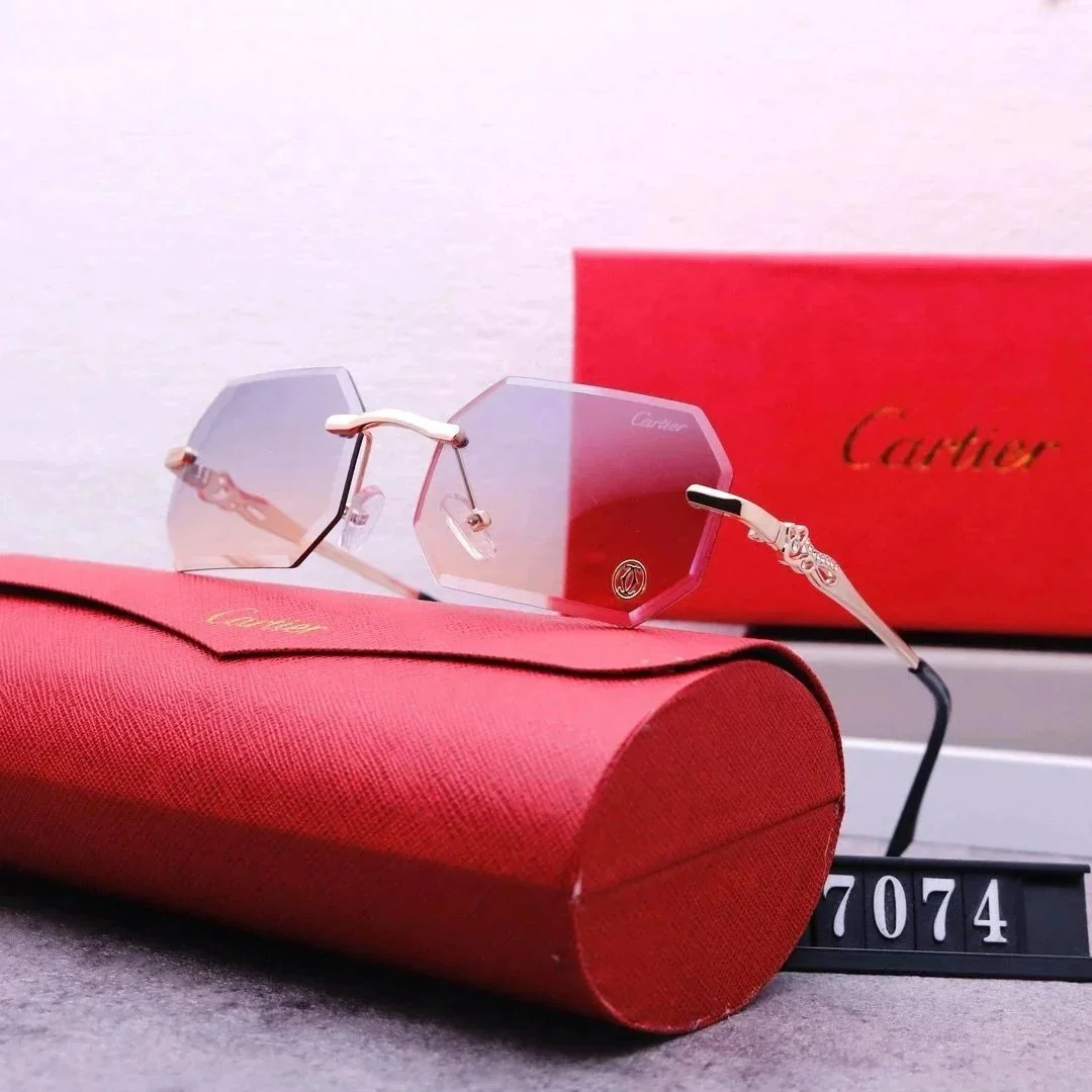 Cartier Soleil Blanc Gradient Lens Sunglasses