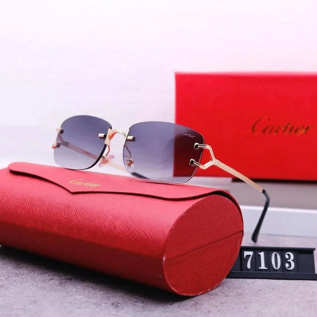 Cartier Soleil Blanc Gradient Sunglasses