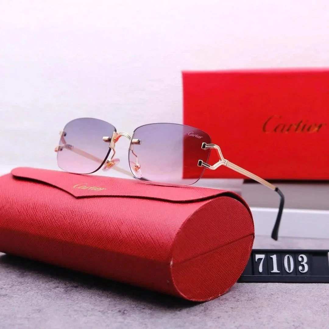 Cartier Soleil Blanc Gradient Sunglasses