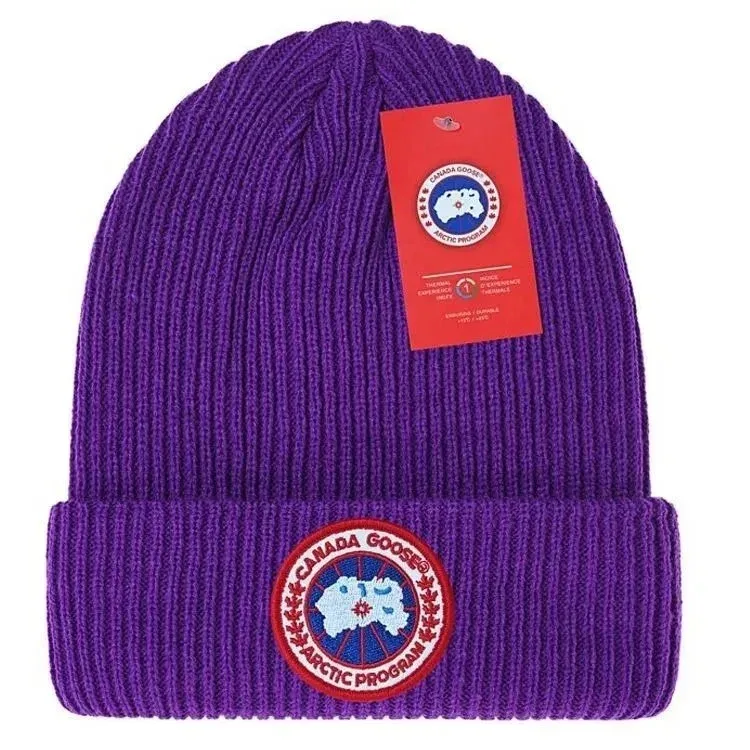 Canada Goose Arctic Program Purple Beanie