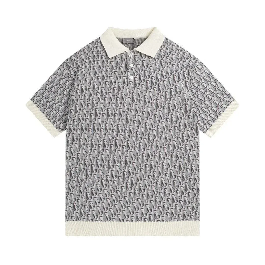 Dior Classic Logo POLO2 Polo Shirt Grey/White