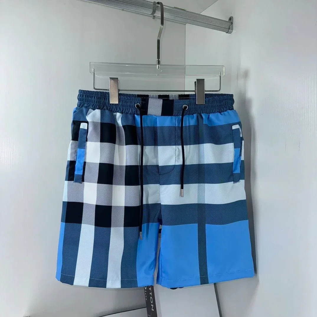 Checked Plaid Shorts Blue White Navy Casual