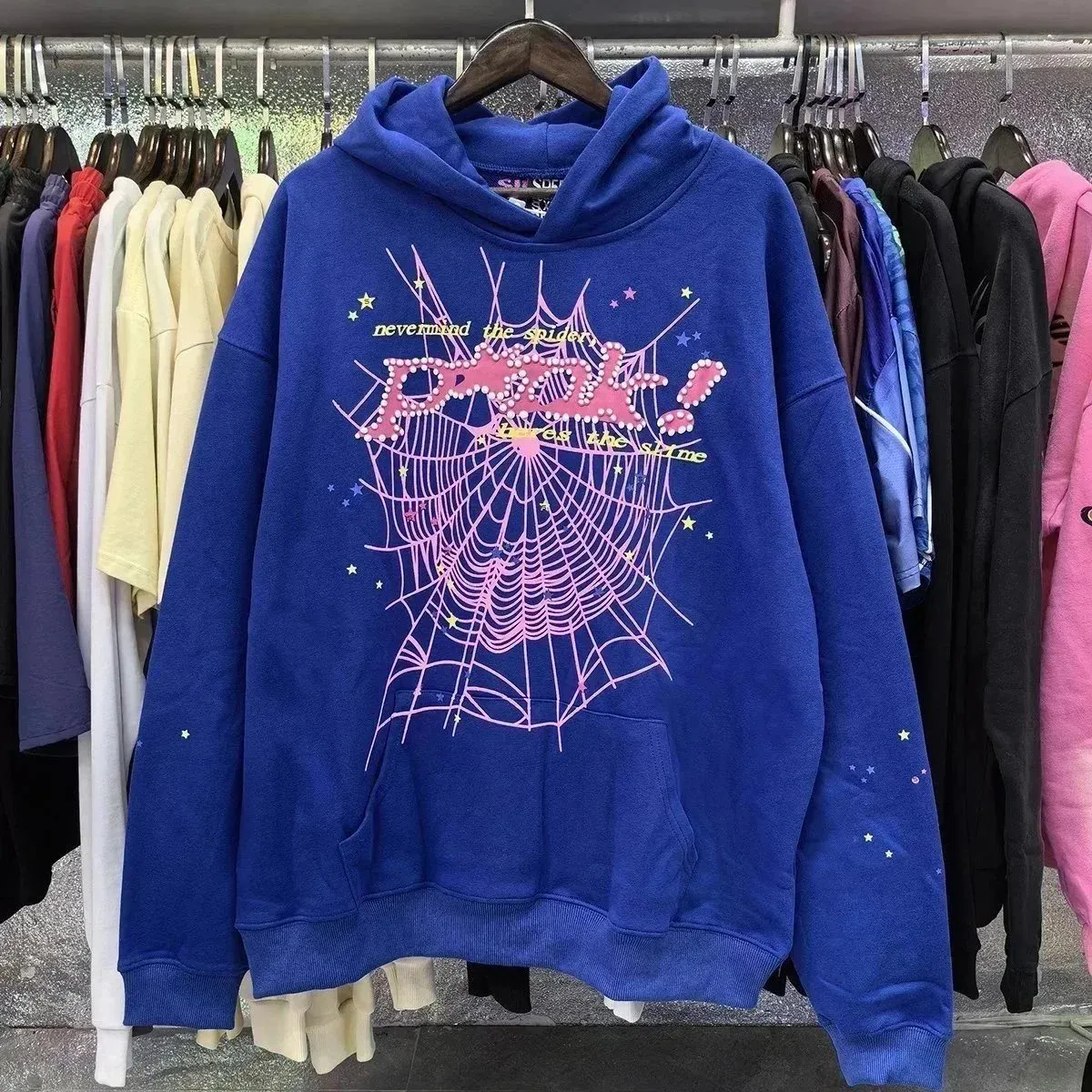 Blue 'Nevermind the Spider' Printed Hoodie