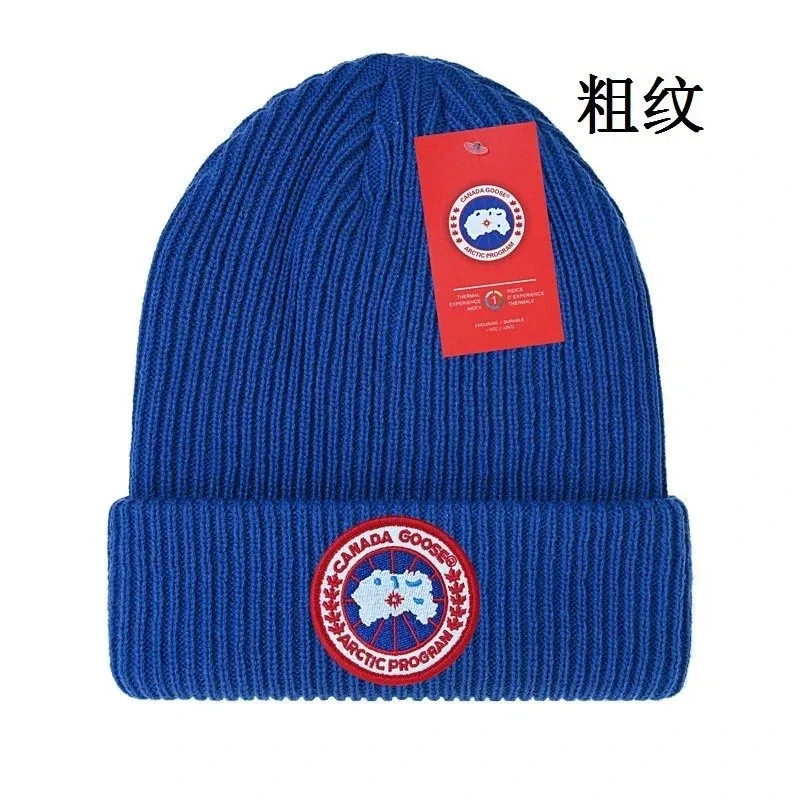 Canada Goose Arctic Program Blue Beanie