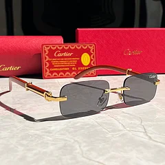 Cartier Soleil Blanc Gold Frame Sunglasses