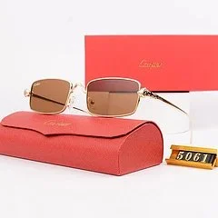 Cartier Soleil Blanc Polarized Sunglasses Gold Frame
