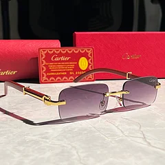 Cartier Soleil Blanc Gradient Sunglasses