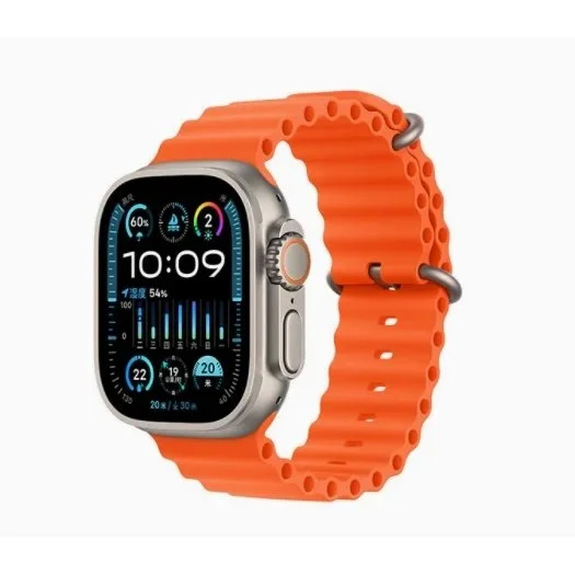 Apple Apple Watch Orange Strap Orange