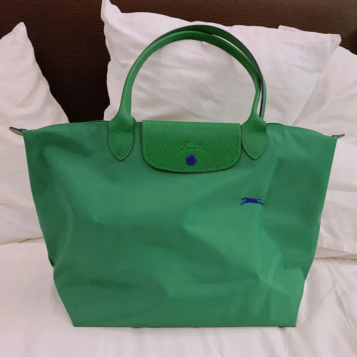 Longchamp Longchamp Le Pliage Anniversary Cactus Green Tote Bag Green - 1