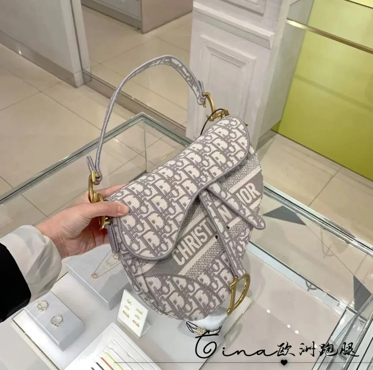 Dior Dior Saddle Grey/Beige Monogram Shoulder Bag Grey