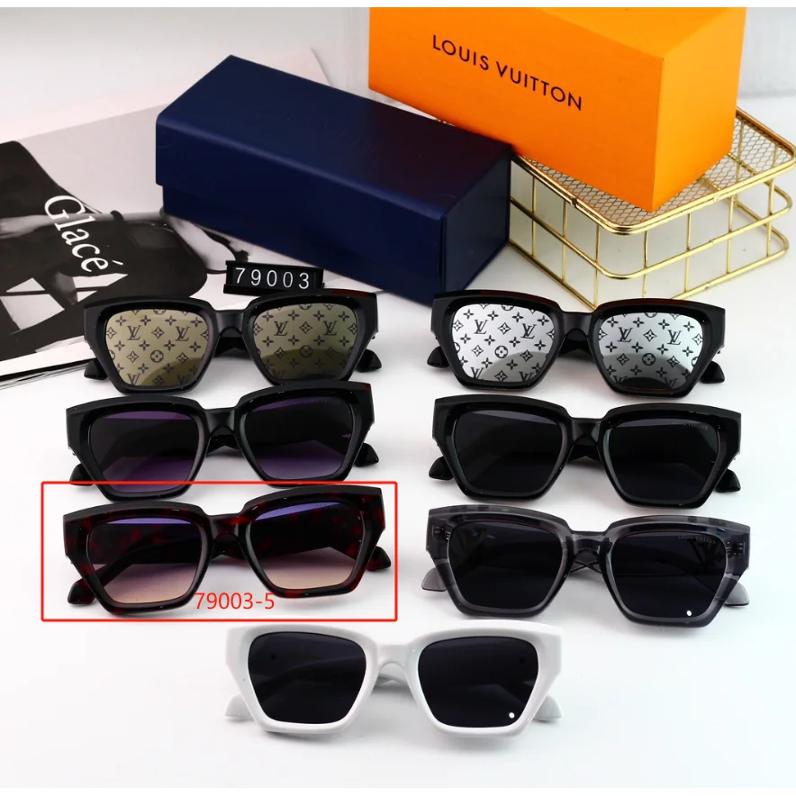 Louis Vuitton Louis Vuitton Classic Logo Sunglasses 79003-5 Eyewear Black
