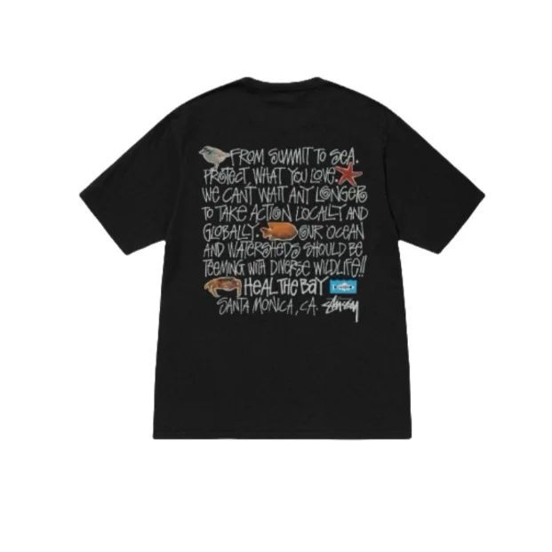Stussy Stussy From Summit to Sea T-Shirt Black Black - 1