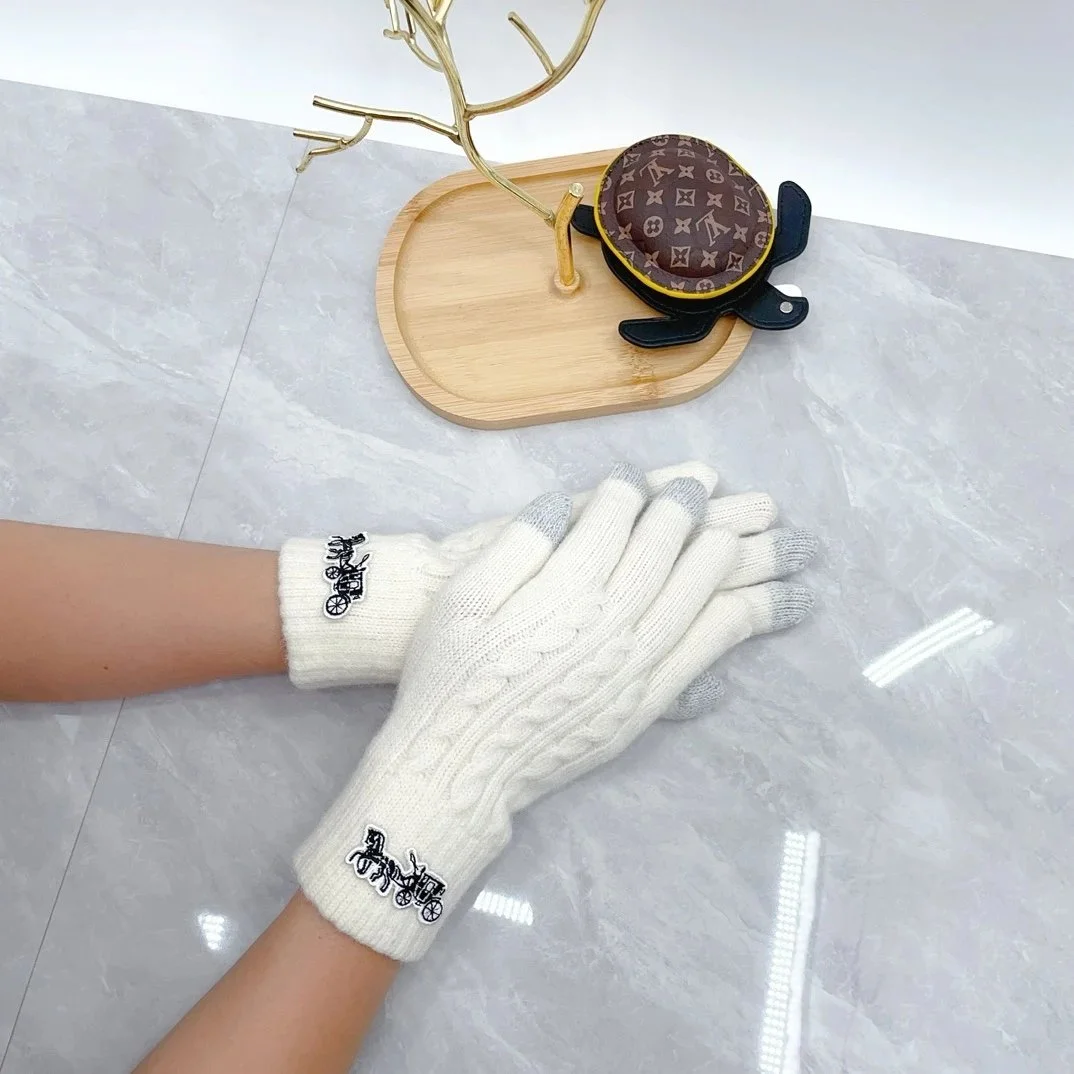 Coach White Horse Embroidery Gloves — Oopbuy Spreadsheet find