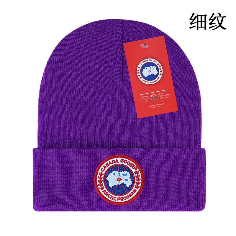 Canada Goose Canada Goose Arctic Program Purple Fine Striped Beanie Purple