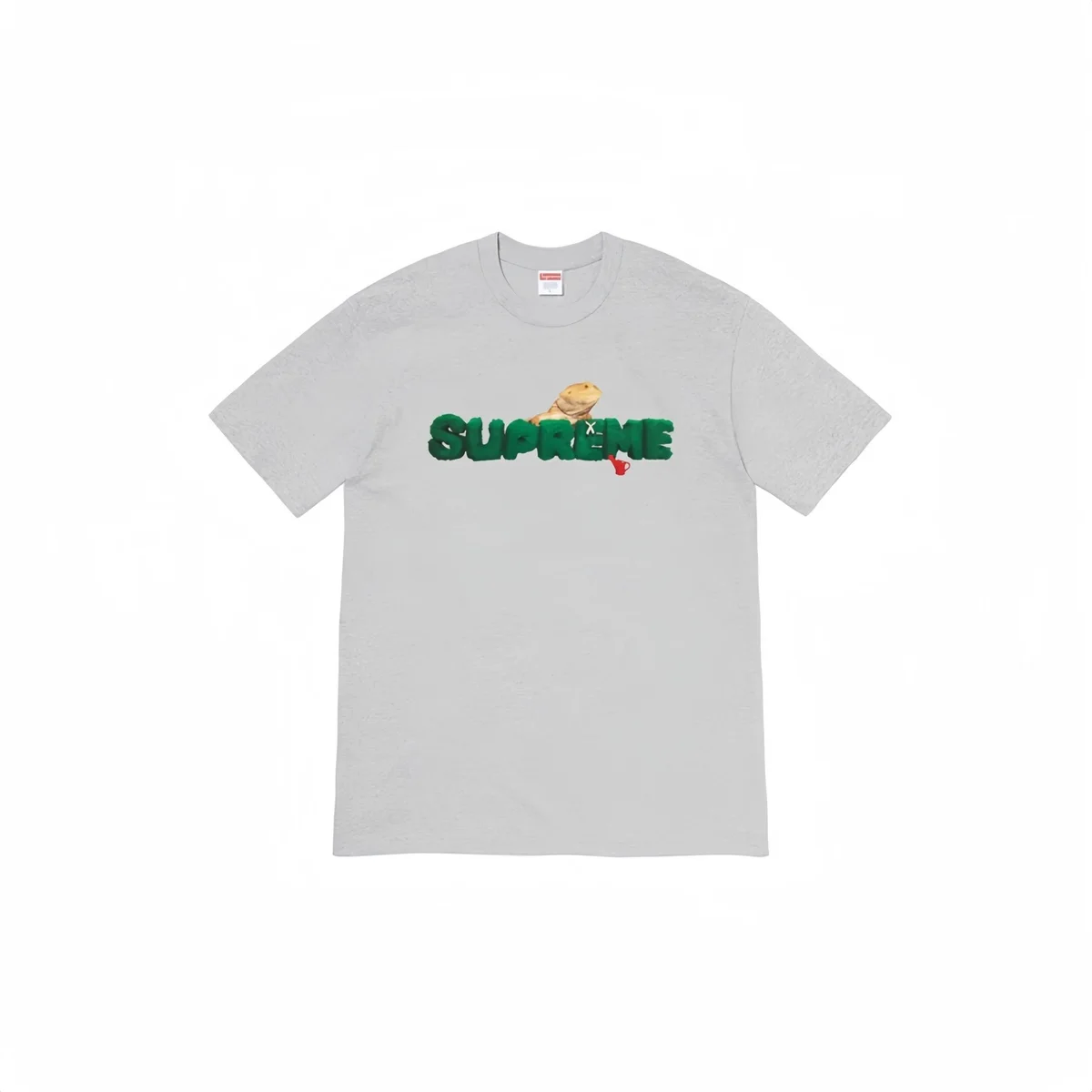 Supreme Supreme Green 'Bearded Dragon' T-Shirt Light Grey Grey - 1