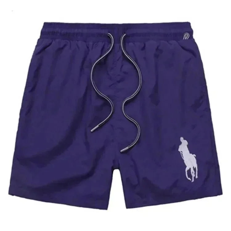 Polo Ralph Lauren Polo Ralph Lauren Big Pony Purple Solid Shorts Purple - 1