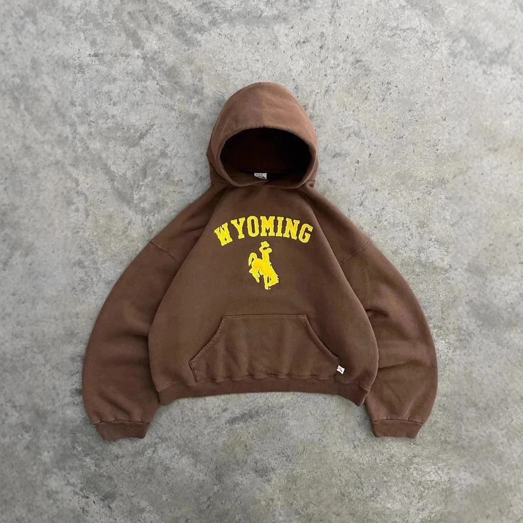 Other Brown Wyoming Graphic Hoodie Brown - 1